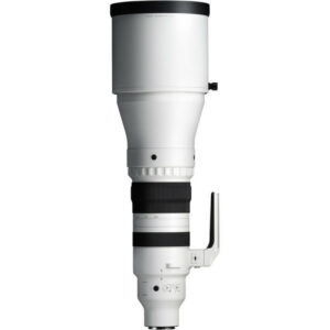 SIGMA 300-600 mm f/4 DG OS Sports - Panasonic L