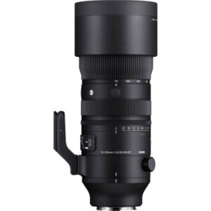 SIGMA 70-200 mm f/2,8 DG DN OS Sports - Panasonic L